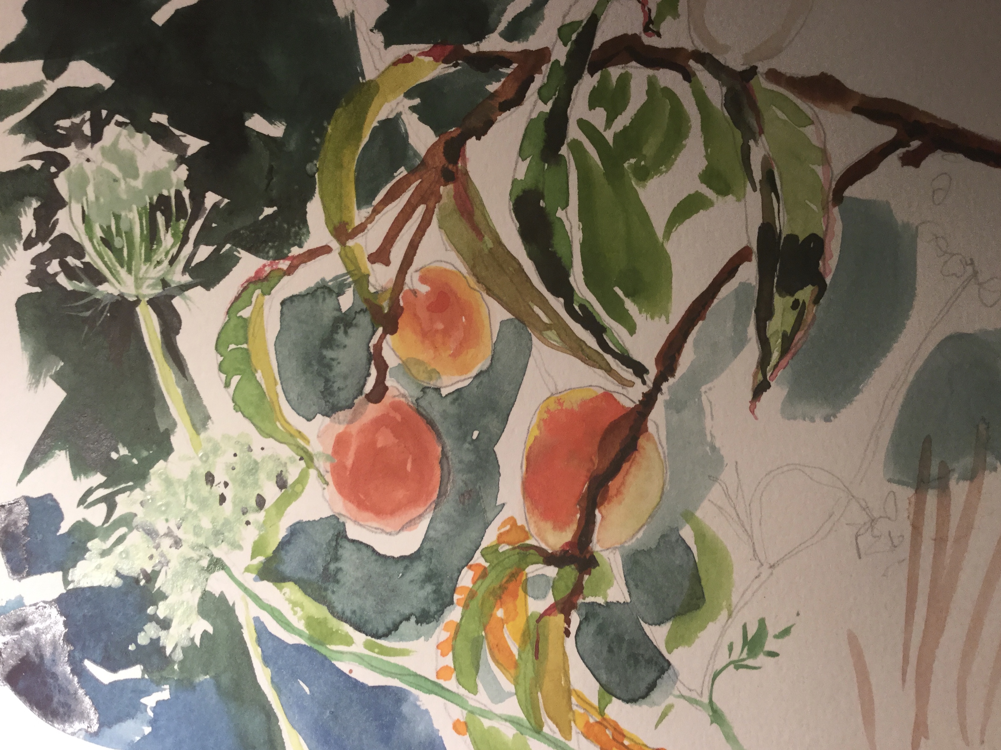 Peaches