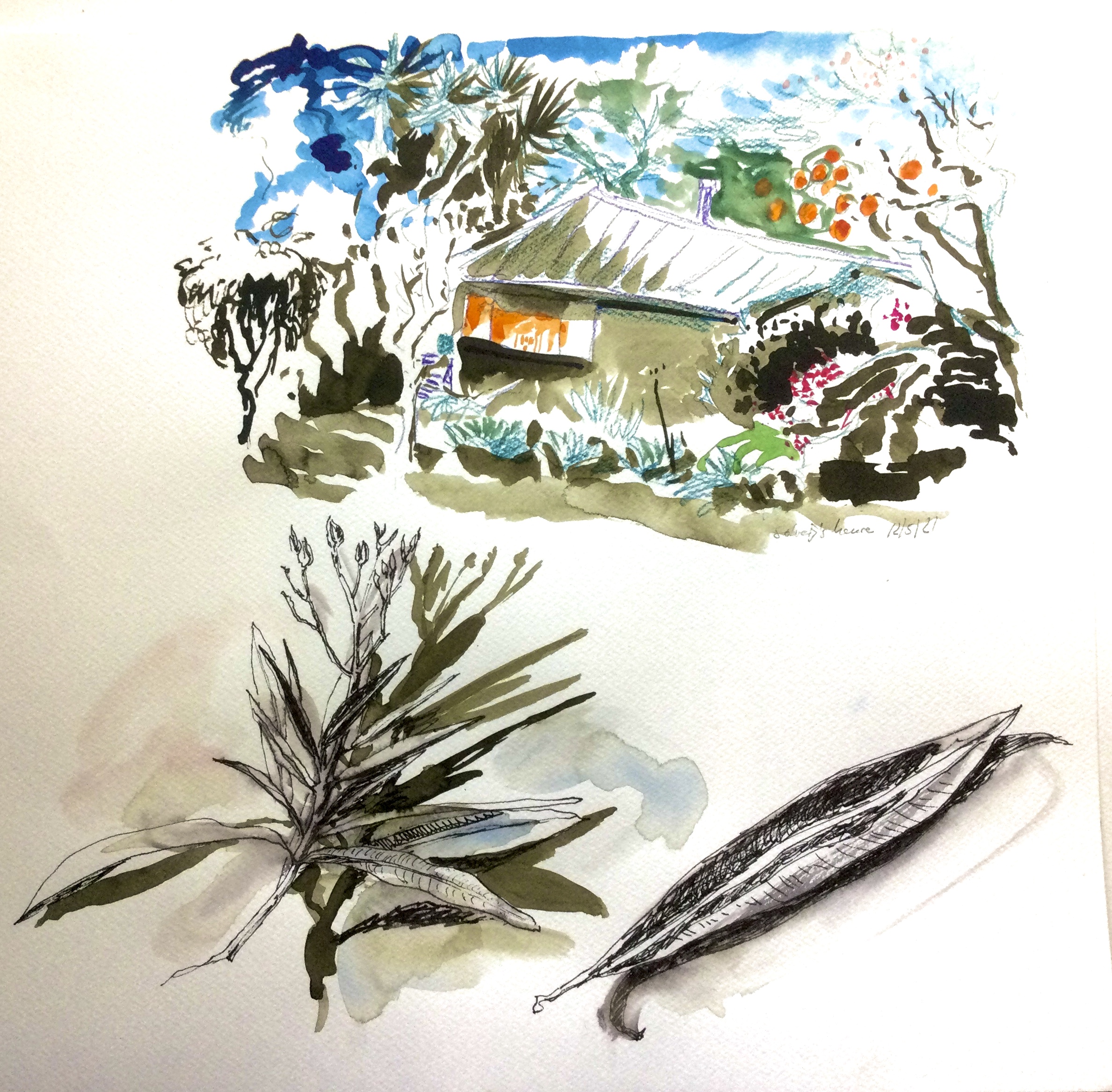 Solveig's House